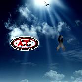 Caidos en el mes de agosto